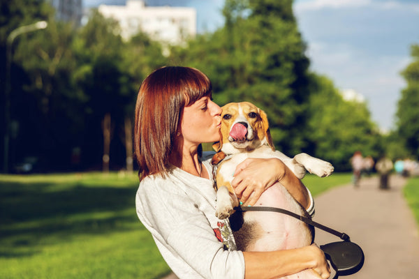 Can You Get Sick From Dog Kisses? The Scientific Truth About Shared Bacteria