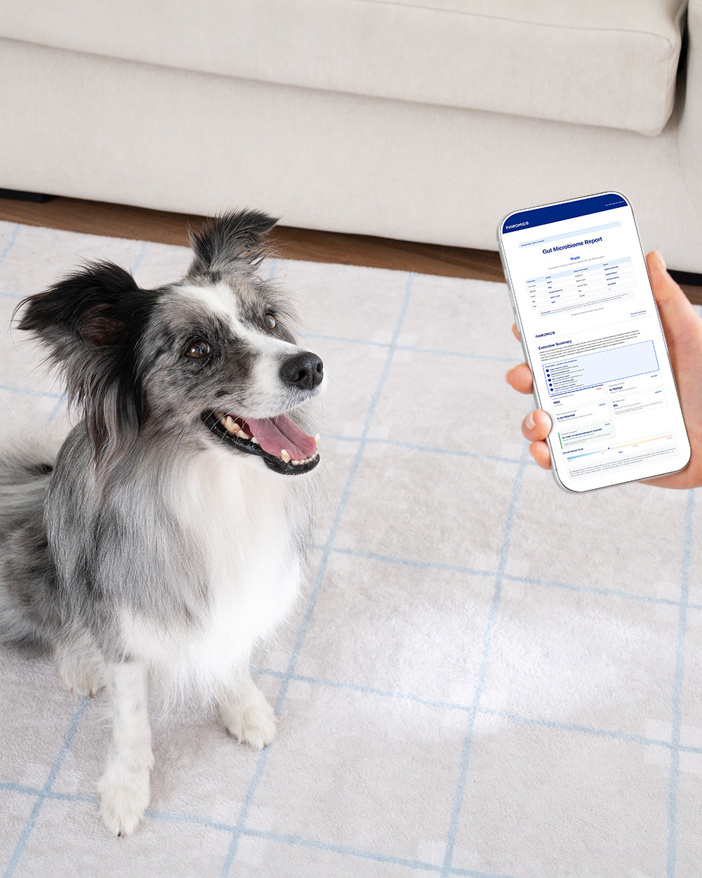 Pet microbiome science