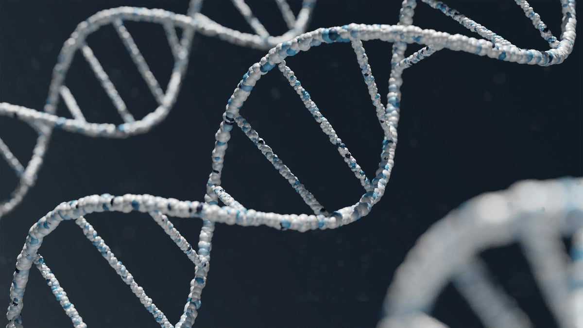 Best Dog DNA Test Comparison: How Accurate Are Dog DNA Tests Really?