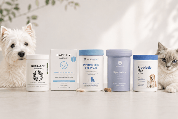 Best Probiotics for Dogs in Canada (2026): 5 Options Compared