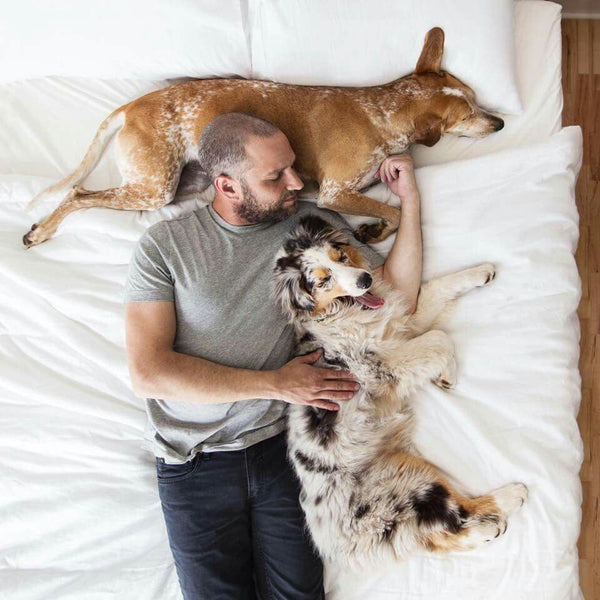 Should You Let Your Dog Sleep in Your Bed? A Research-Backed Guide