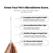 Pet microbiome score report showing gut health profile, nutrition tips, healthy range comparison, and in-house analysis