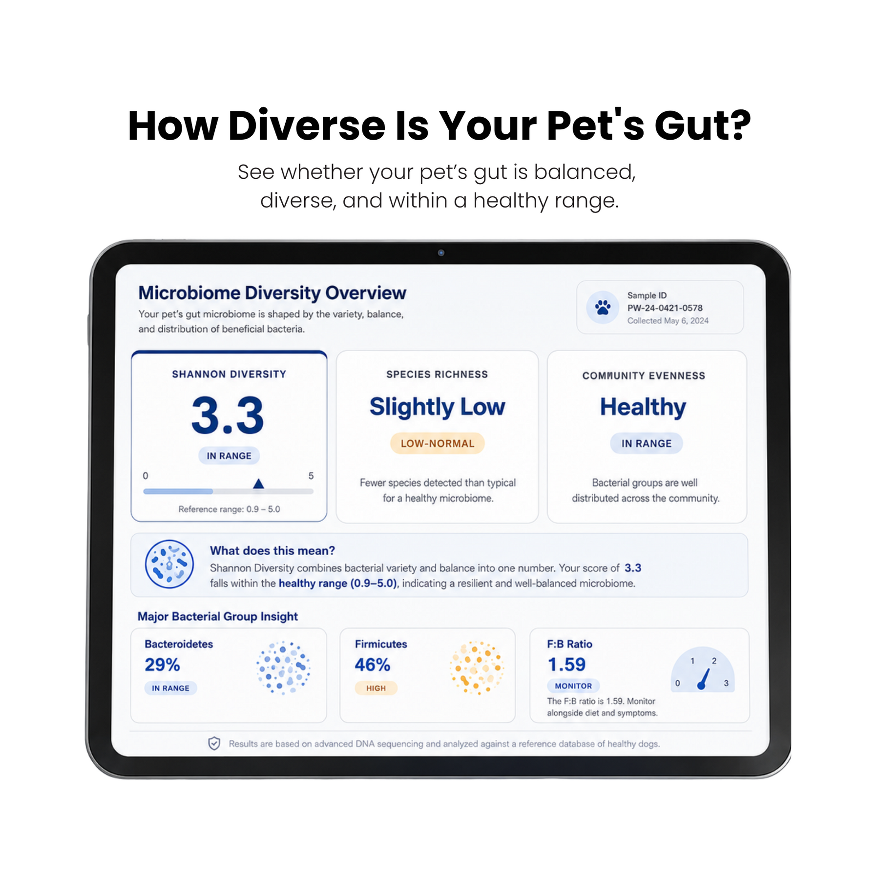 Pet microbiome diversity report showing Shannon diversity, species richness, and healthy range comparison