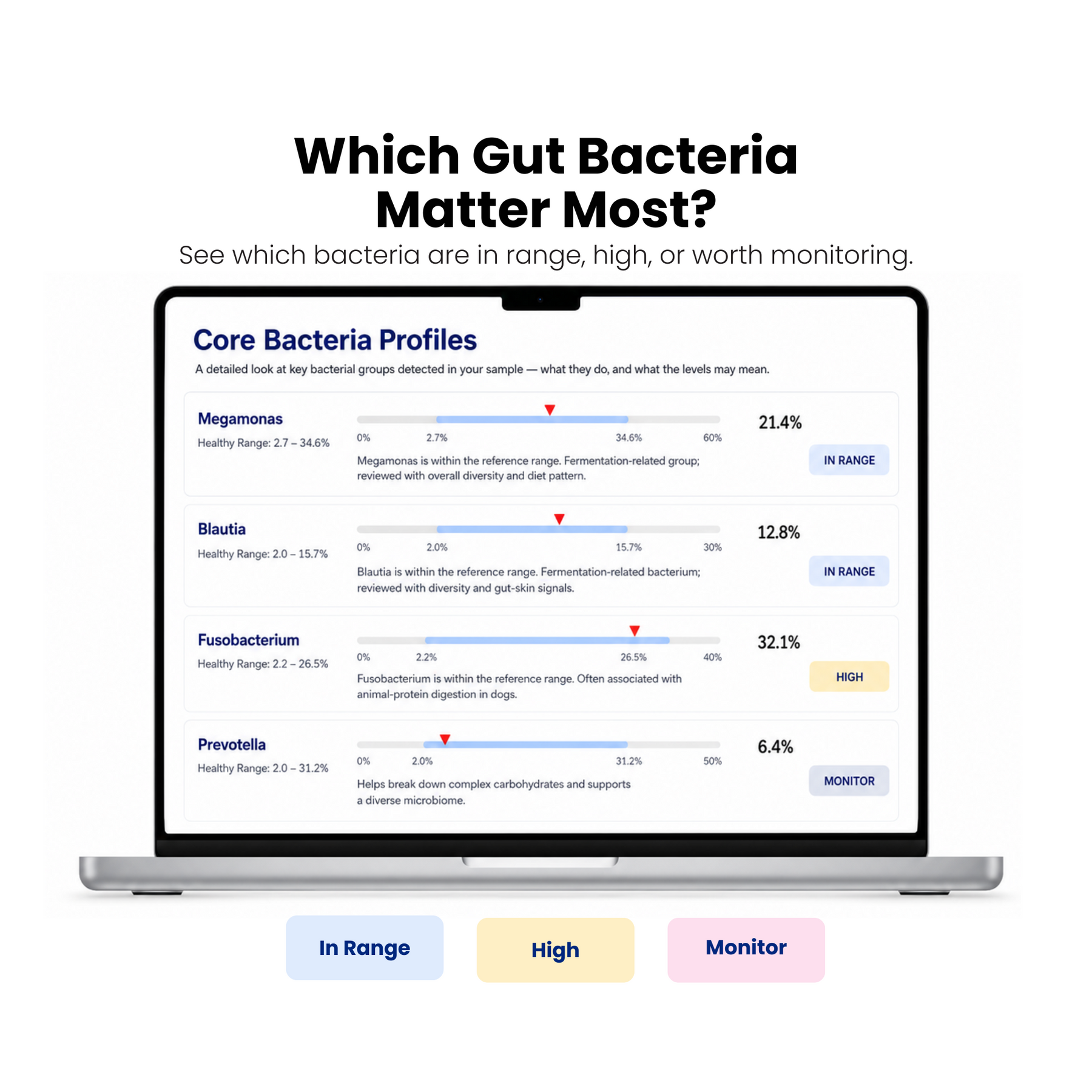 Core gut bacteria profile report showing bacteria levels, healthy ranges, high markers, and monitor status
