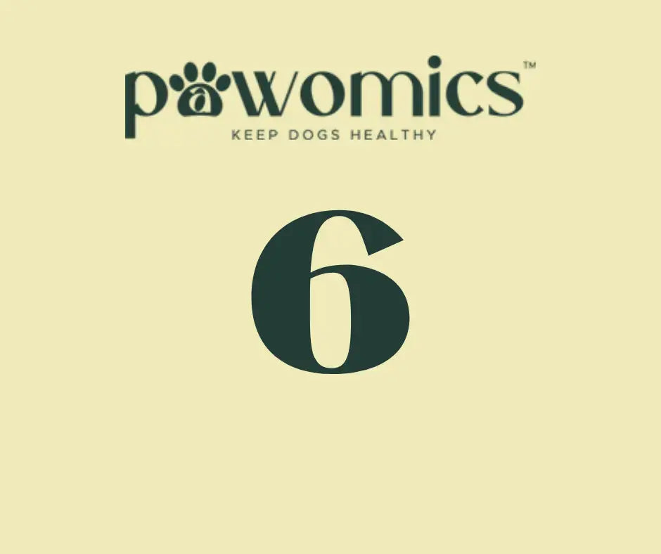 Pawomics logo with 6-month subscription on a beige background