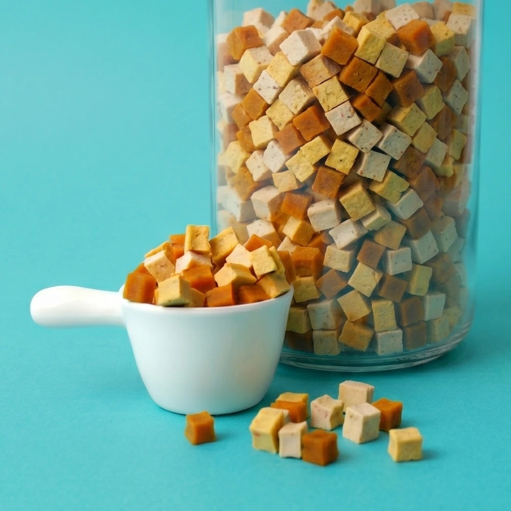 Jar of pet treats with a scoop on a teal background
