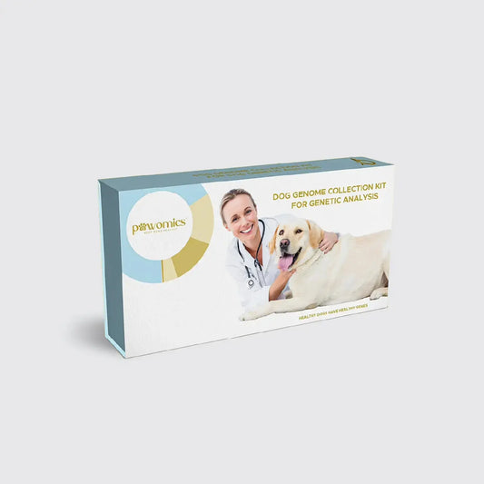 Dog genome collection kit for genetic analysis on a white background