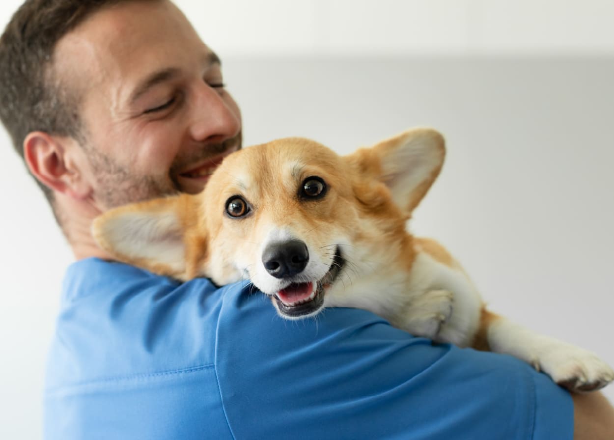 Man holding a corgi dog against a plain background