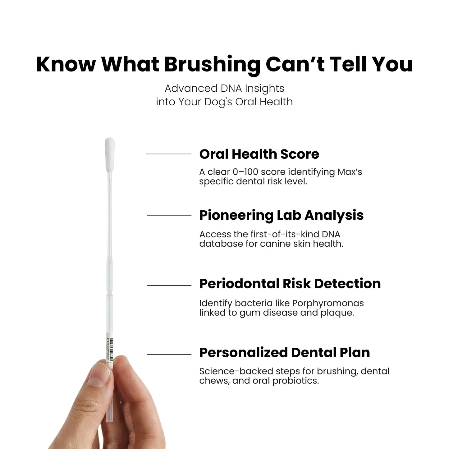 Dog dental health test stick with text about advanced DNA insights into a dog's oral health on a white background.