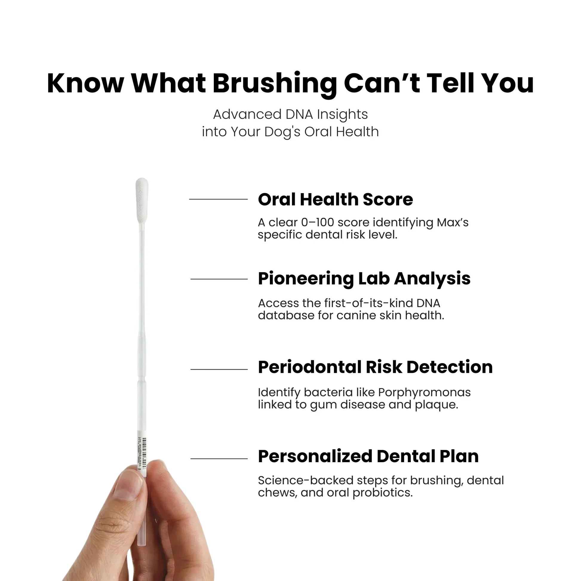 Dog dental health test stick with text about advanced DNA insights into a dog's oral health on a white background.