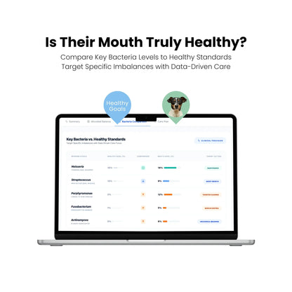 Laptop screen displaying a dental health monitoring app with a dog icon and text about comparing key bacteria levels.