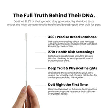 Hand holding a DNA swab beside text promoting comprehensive pet DNA testing, featuring breed database, health risk screenings, trait insights, and accurate first-time results.