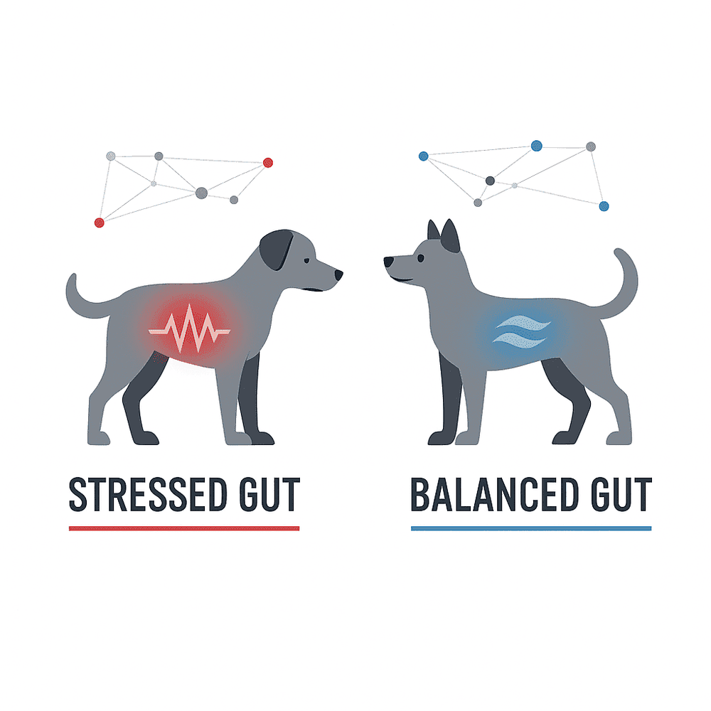 Two dogs, one labeled 'Stressed Gut' with a red icon and the other 'Balanced Gut' with a blue icon, on a white background.