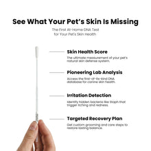 At-home pet DNA test for skin health with a swab and text details on a white background
