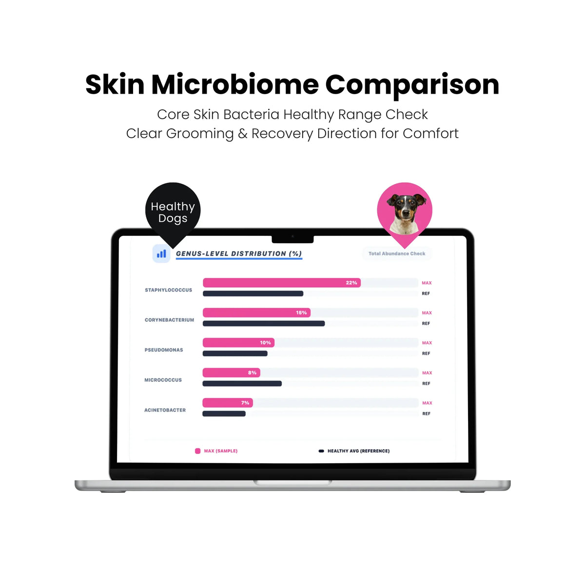 Laptop displaying a skin microbiome comparison chart with a dog icon on a white background
