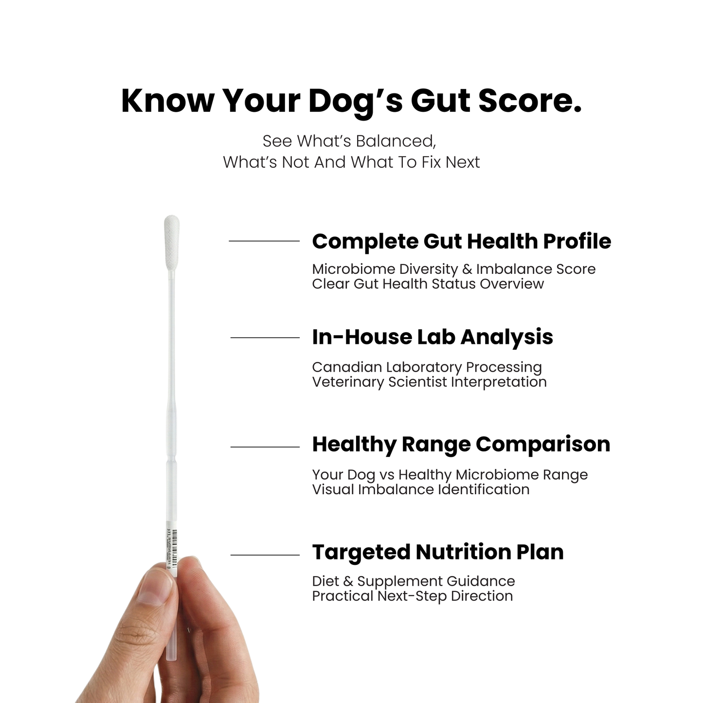 Gut Microbiome DNA Test For Dogs & Cats
