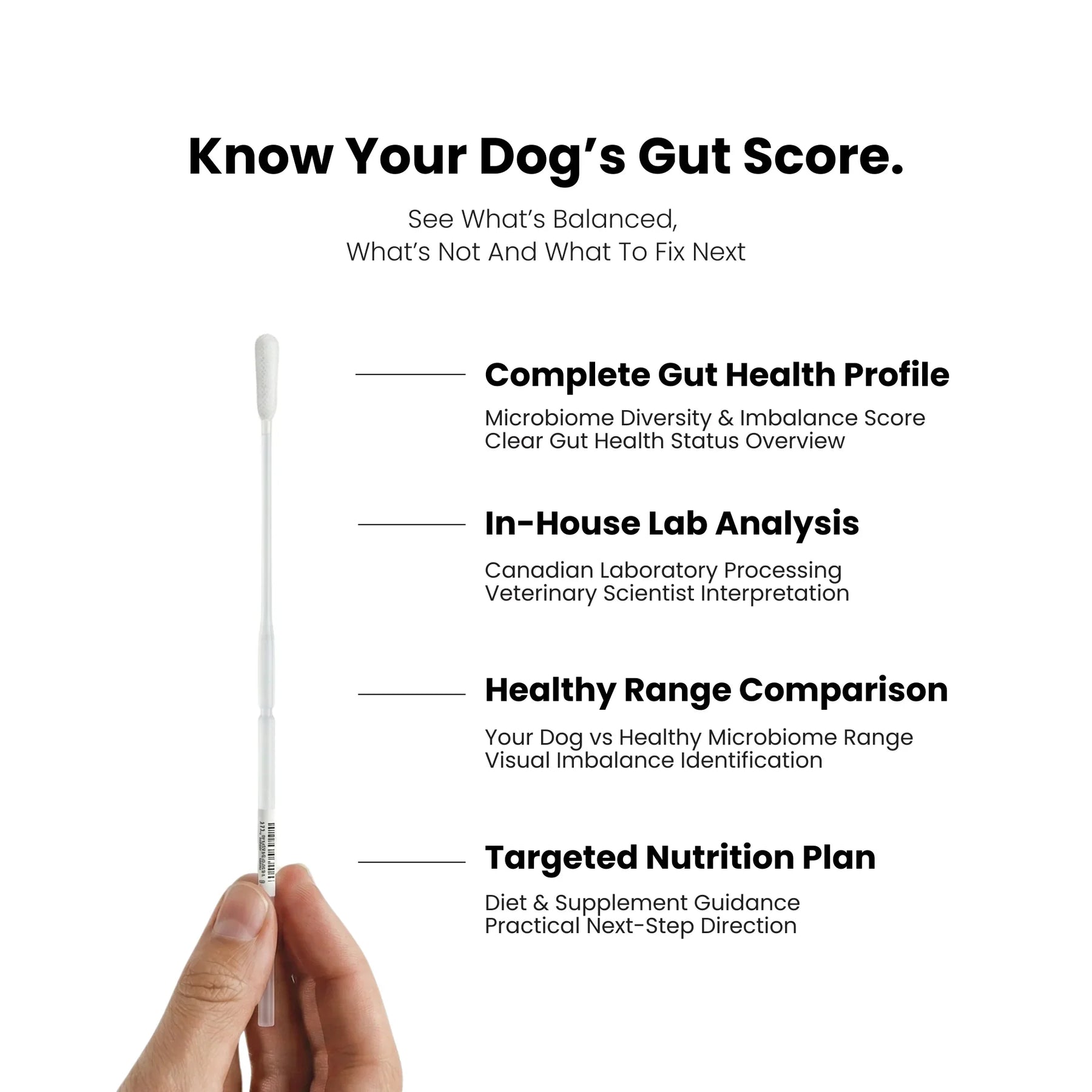 Dog fecal sample test kit with text on gut health analysis on a white background