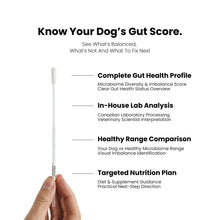 Dog fecal sample test kit with text on gut health analysis on a white background