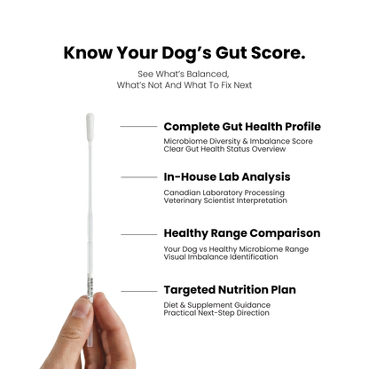Gut Microbiome DNA Test For Dogs & Cats