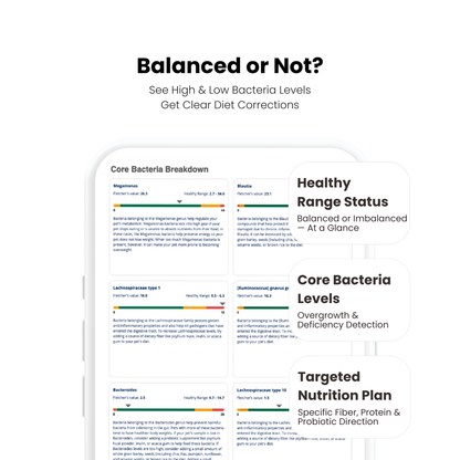 Gut Microbiome DNA Test For Dogs & Cats