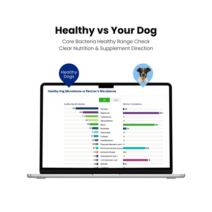 Gut Microbiome DNA Test For Dogs & Cats