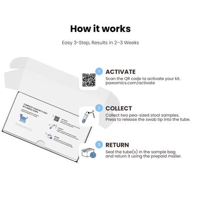 Gut Microbiome DNA Test For Dogs & Cats