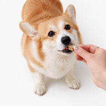 Vegan Dog Treats – Sweet Potato, Pumpkin & Potato
