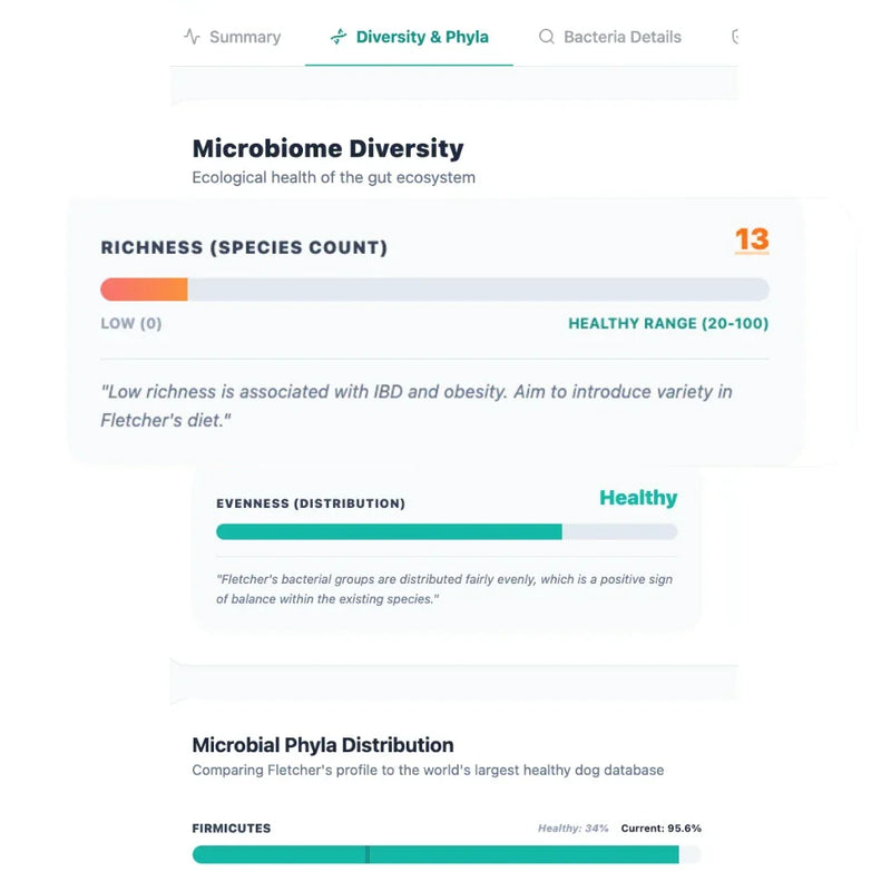Microbiome diversity analysis for ecological health of the gut ecosystem on a white background