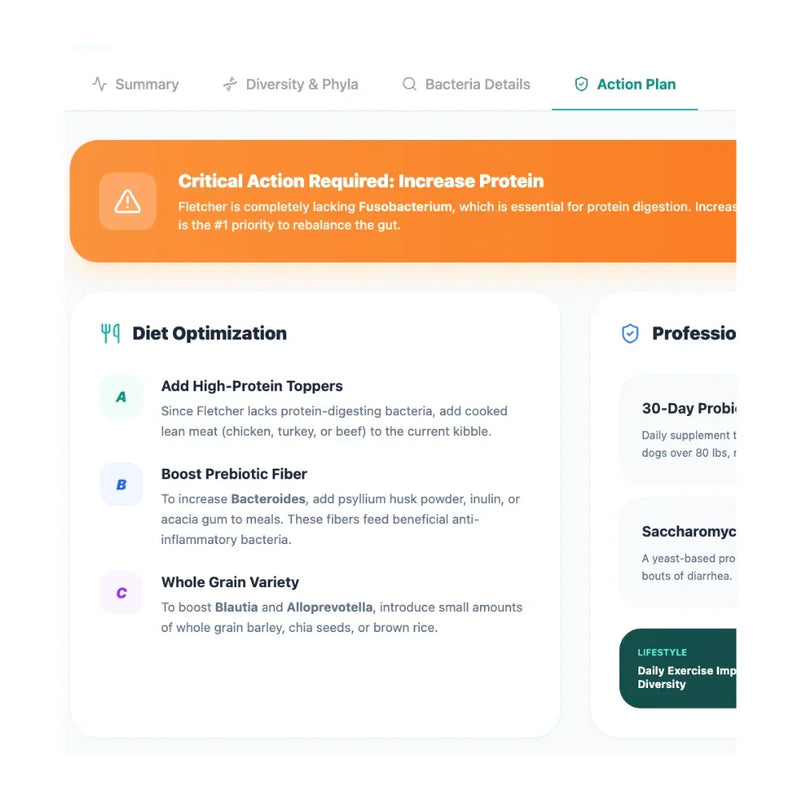 Diet optimization plan for a pet with critical action required to increase protein levels.