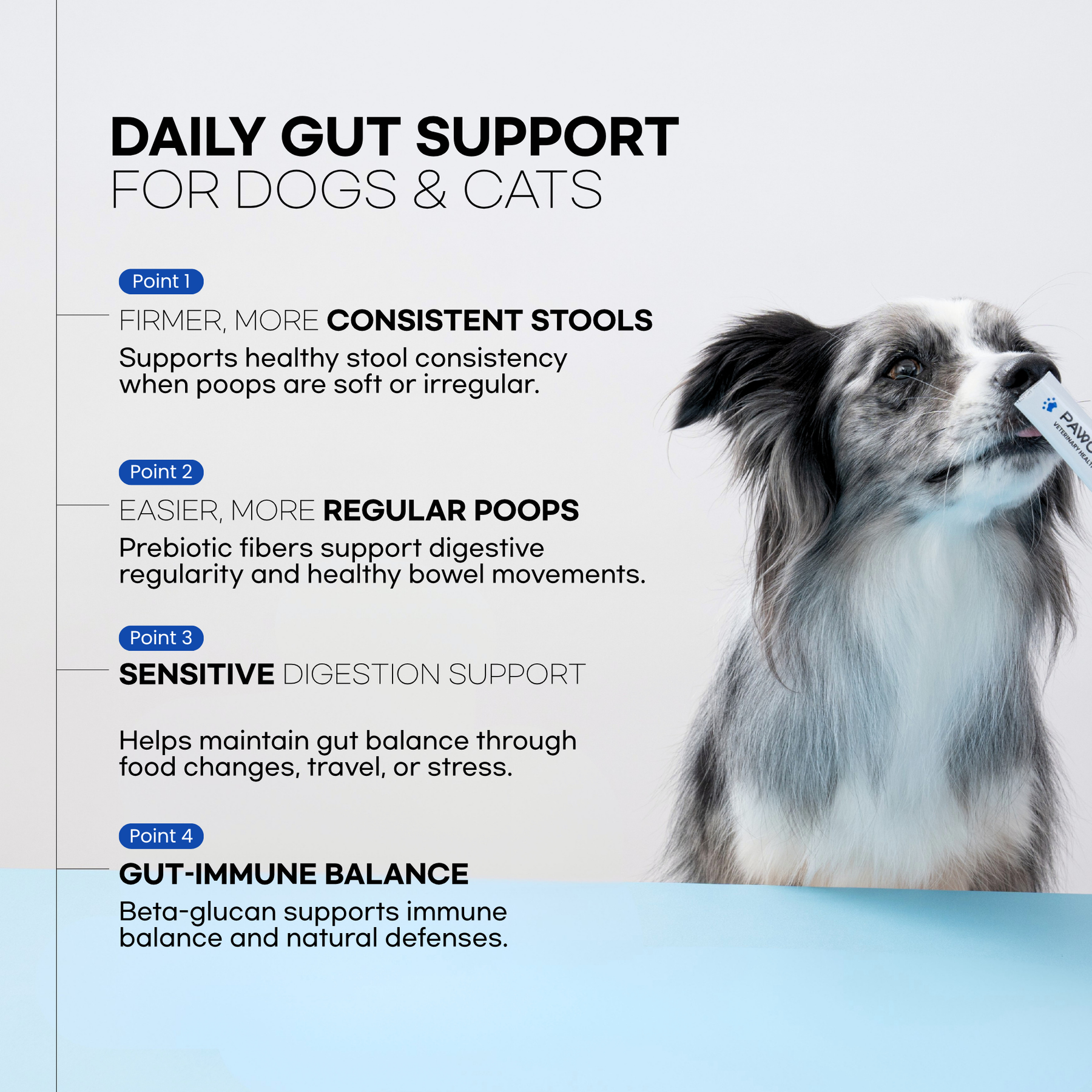 Veterinary Probiotics for Dogs & Cats Daily Stick