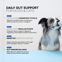 Veterinary Probiotics for Dogs & Cats Daily Stick