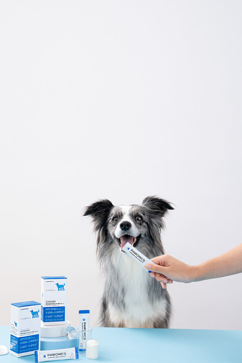 One Stick. 3-in-1 Gut Support.
