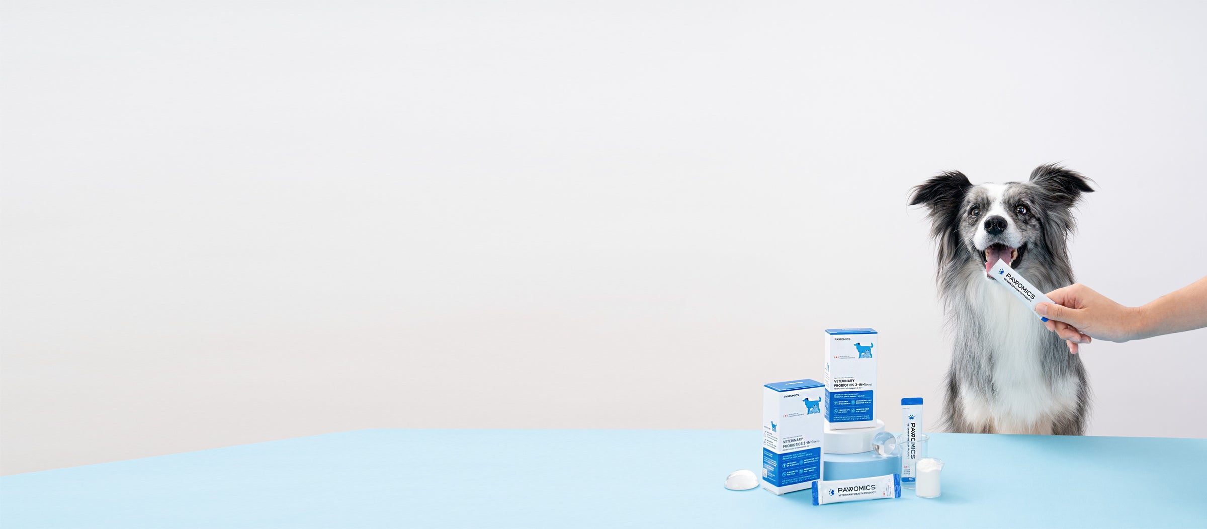One Stick. 3-in-1 Gut Support.