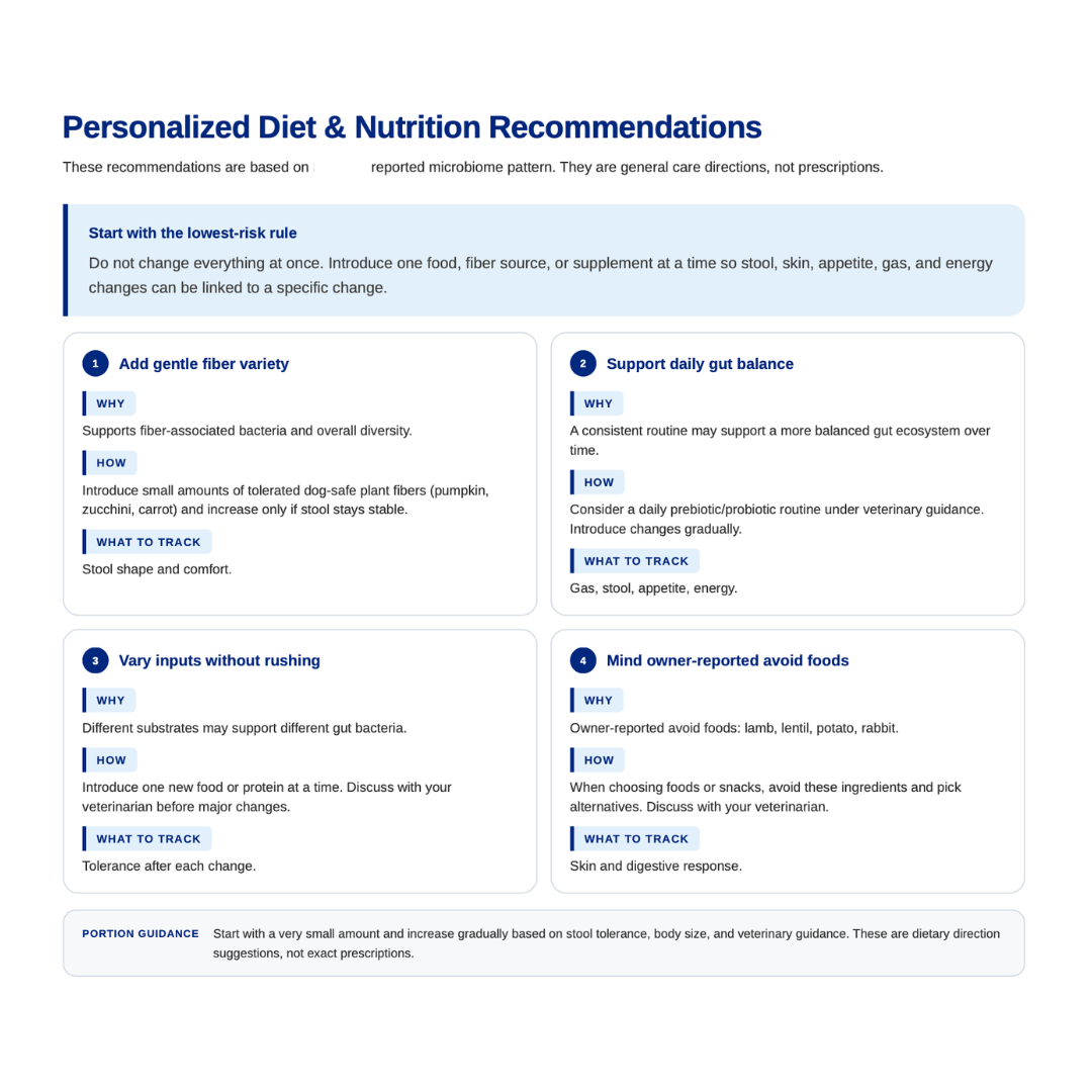 Personalized Diet & Nutrition Recommendations document on a white background
