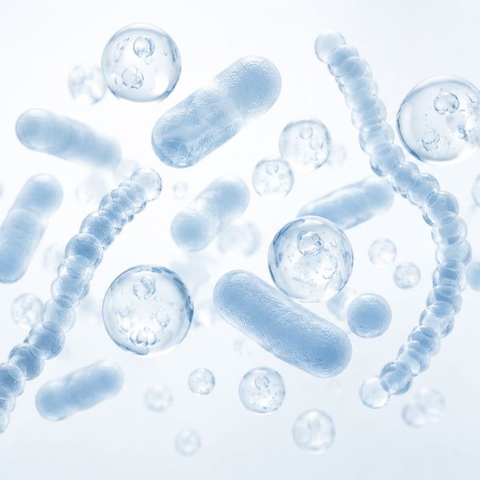 PROBIOTICS