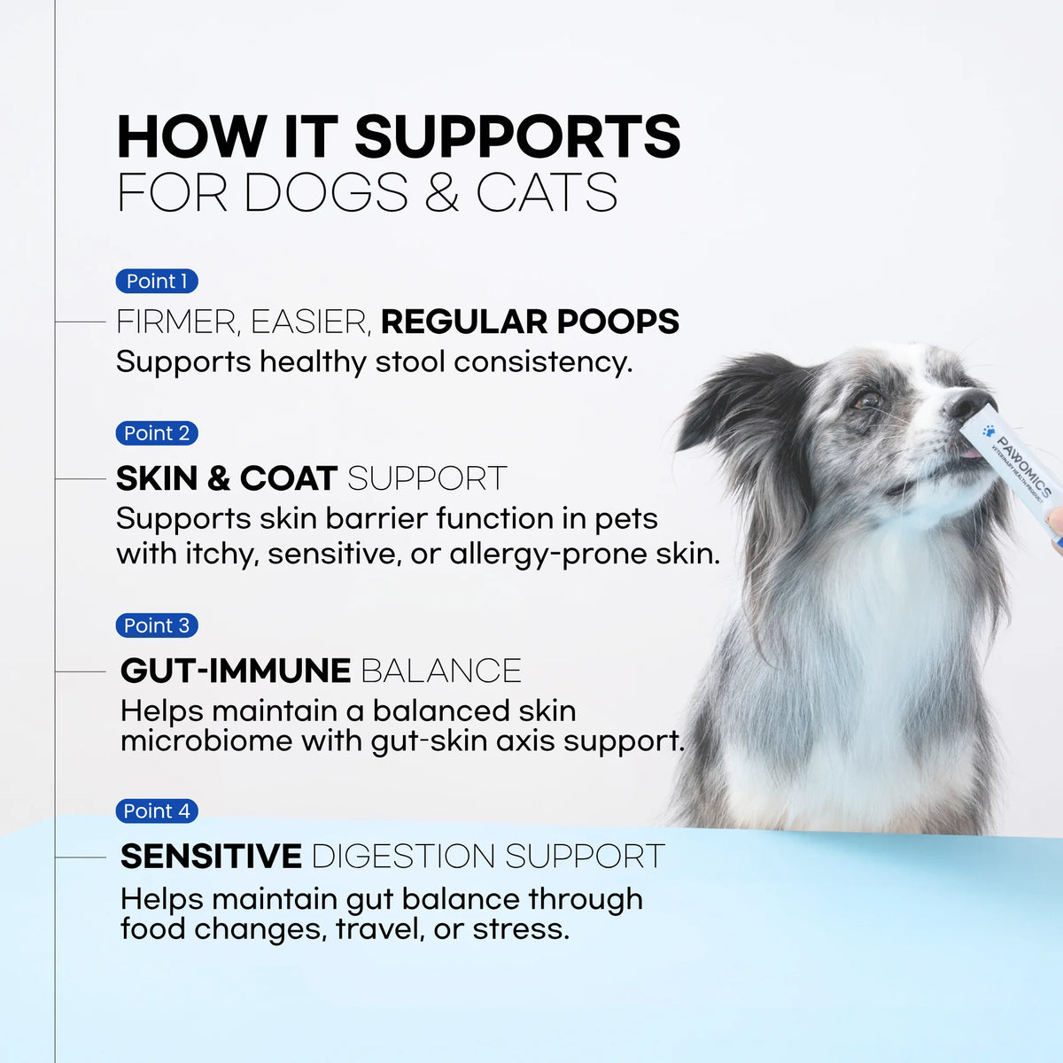 Pawomics Veterinary Probiotics for dogs and cats supporting stools, skin and coat, immune balance, and digestion