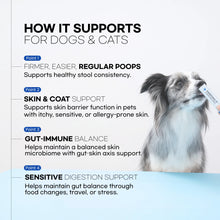Pawomics Veterinary Probiotics for dogs and cats supporting stools, skin and coat, immune balance, and digestion