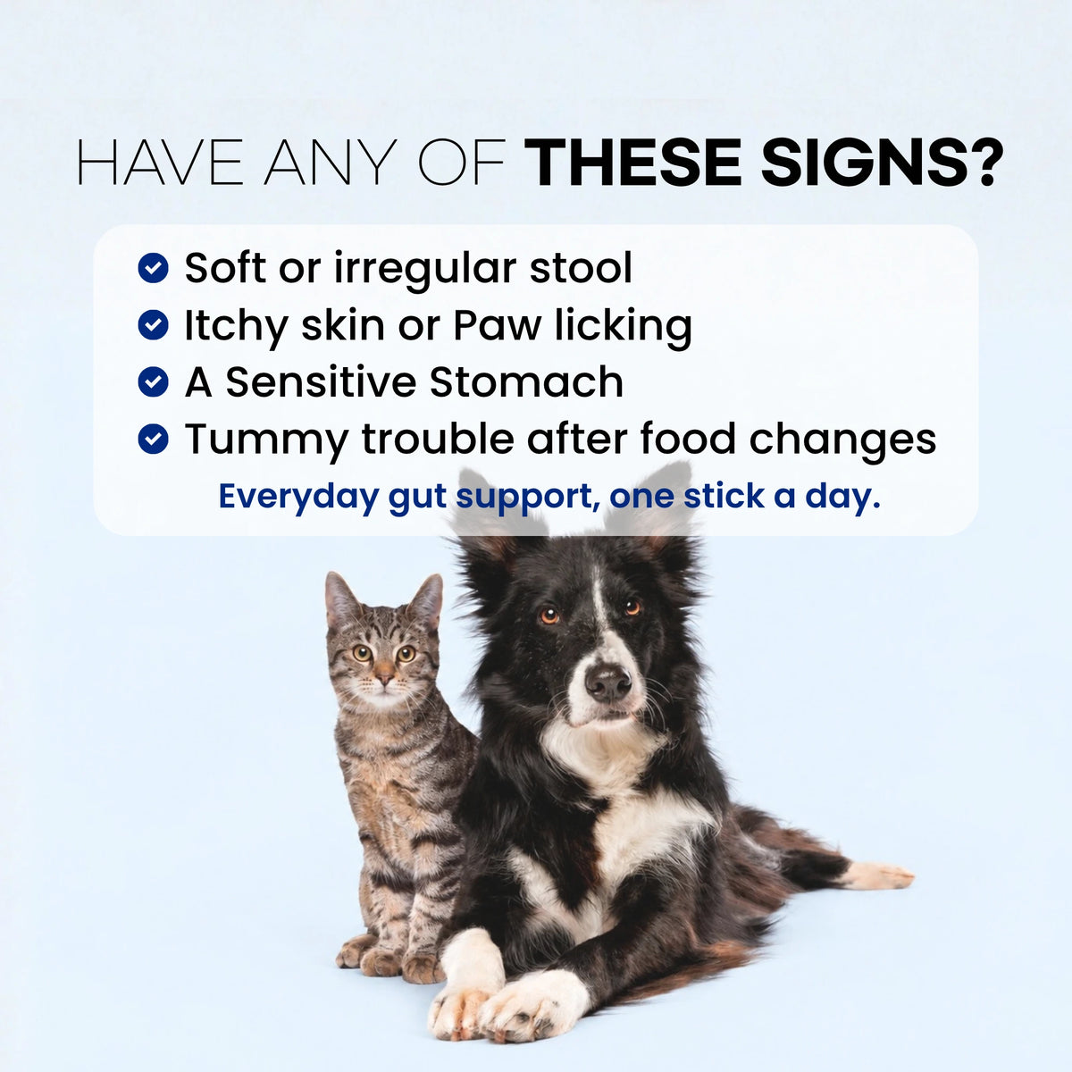 Pawomics Veterinary Probiotics for dogs and cats supporting stools, skin and coat, immune balance, and digestion