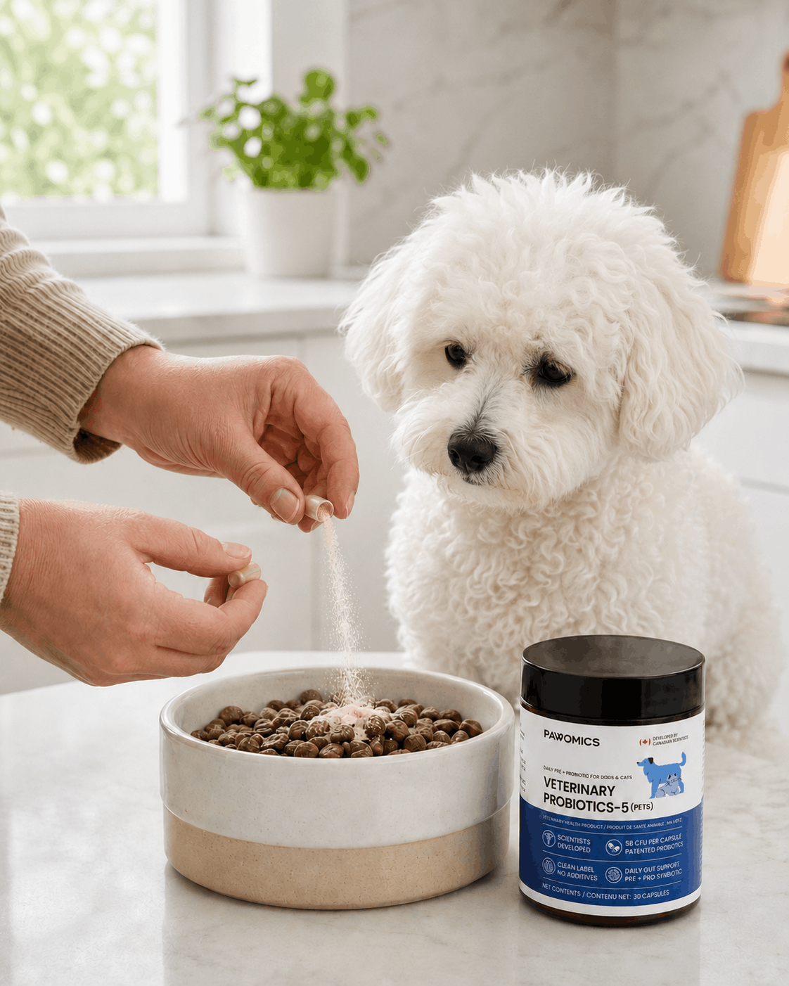 Dog eating food with Pawomics probiotic capsules nearby