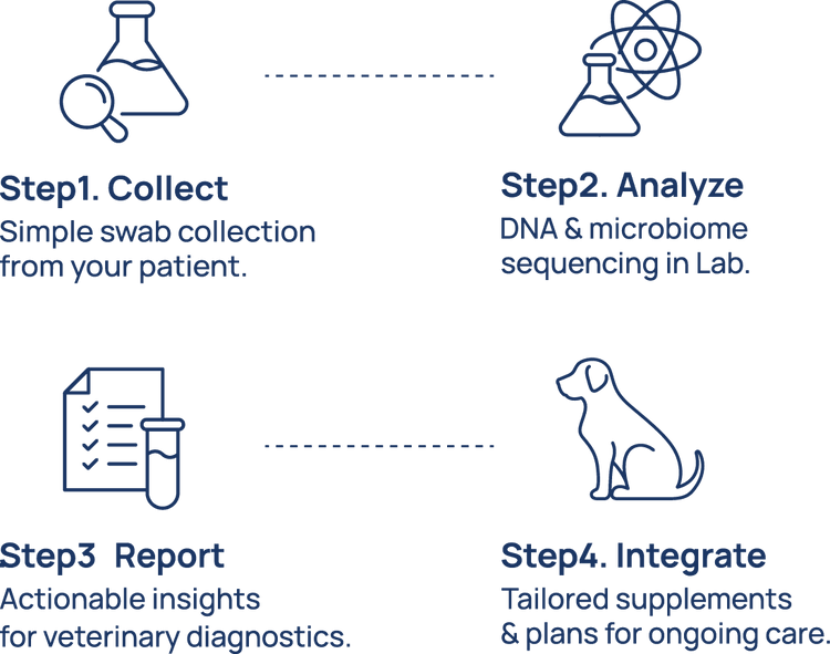 Diagram of a veterinary diagnostic process with icons and text on a green background