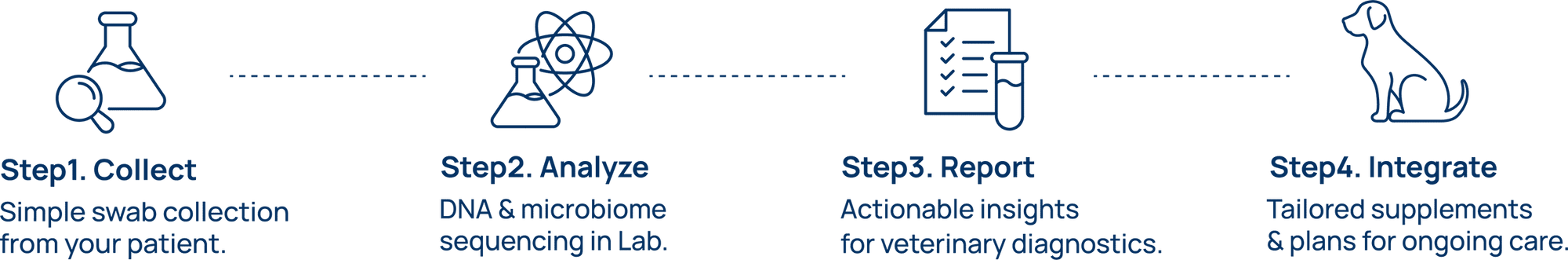 Steps in a veterinary diagnostics process with icons and text on a green background